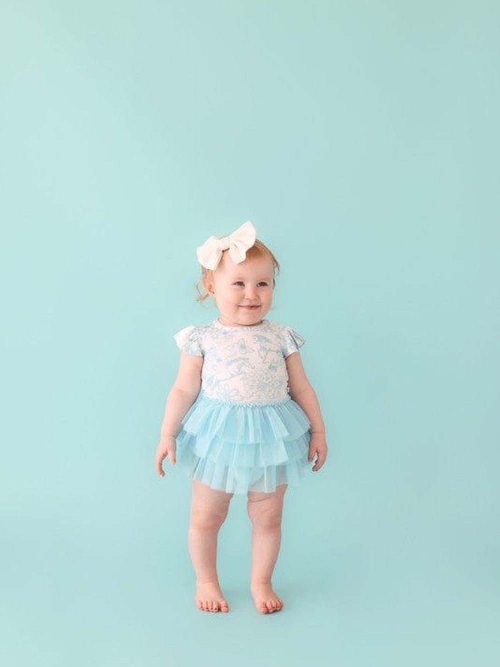 NWT Posh Peanut Charlotte Anne Tulle Skirt Bodysuit Dress 6-12M Blue Horses - Picture 3 of 8